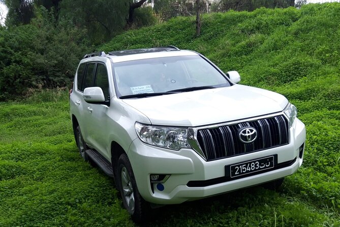 VIP Transfer Between Tunis Carthage Airport and a Hotel in Tunis - Booking Your Transfer