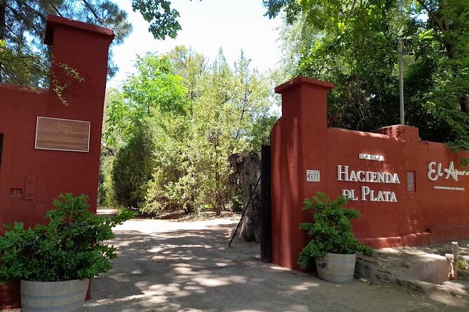 Visit 3 Wineries With Lunch With Unlimited Wine/Private Transfer - Private Transportation and Pickup