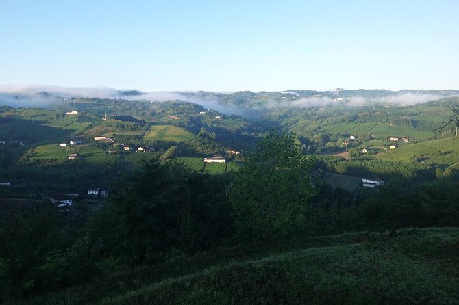 Visit Among Vineyards and Wine Cellar With Wine Tasting in Nizza Monferrato - Schedule and Availability