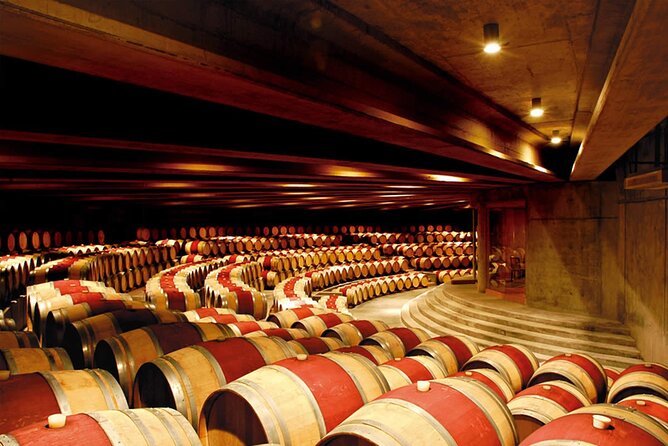 Visit Montes Winery (7th World Best Wine) & Transfer to Hotel - Vineyard Exploration and Wine Pairing