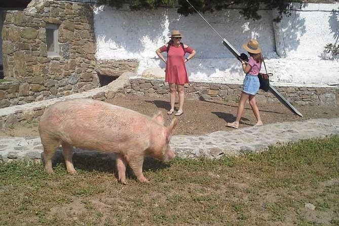 Visit the Mykonian Farm in Mykonos - Cancellation and Refund Policy