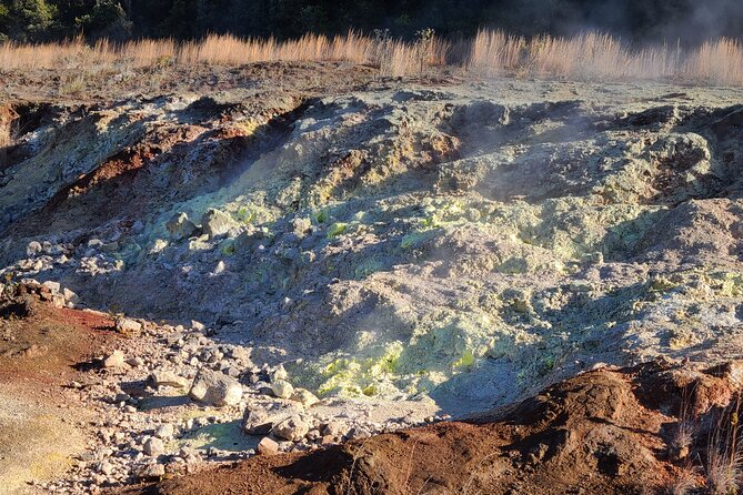 Volcanoes National Park and Hilo Private Tour - Tour Details