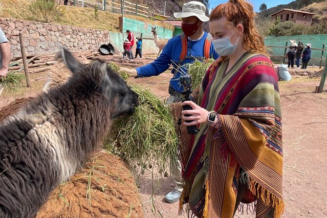 Voluntering at the Cochahuasi Sanctuary - Preparing for the Volunteer Work