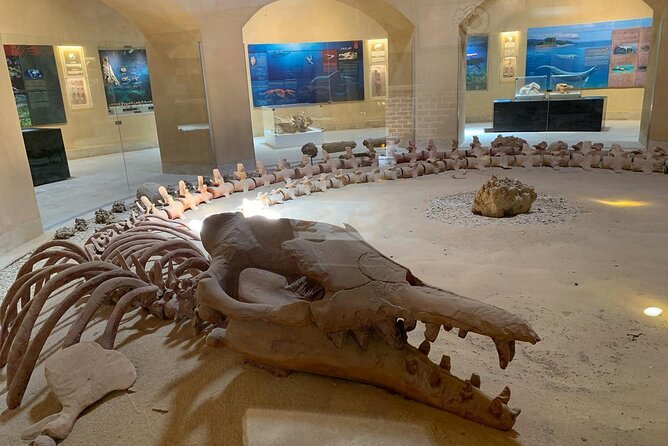 Wadi Al Hitan Day Trip From Cairo - Destination Highlights
