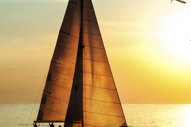 Waikiki Fireworks Dinner Cruise: Sail & Sparkle on Friday Nights - Meeting and Pickup Details