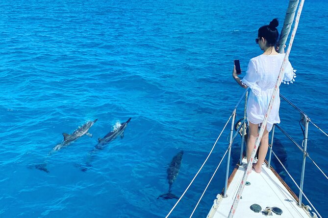Waikiki Small Group Turtle Snorkeling & Sailing - Inclusions and Exclusions