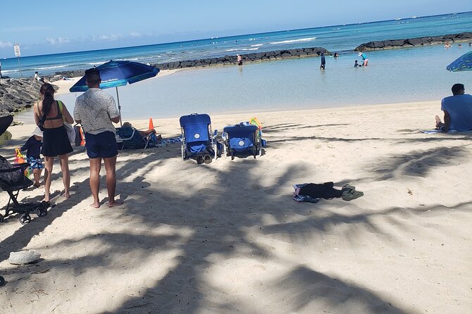 Waikiki! Very Shallow Snorkeling Fish Marinelife!Free Pics&Video! - Whats Included in the Experience