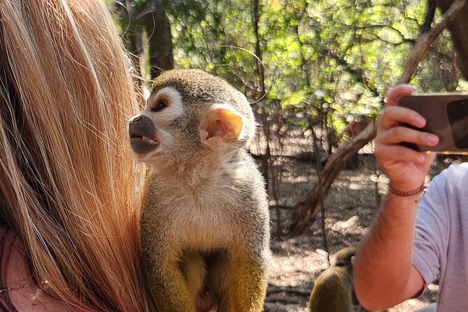 Walk With Elephants Experience Plus Monkey Forest Walk - Tour Pricing and Inclusions