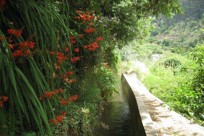 Walking Experience in the Serra DÁgua Valley - Tour Details