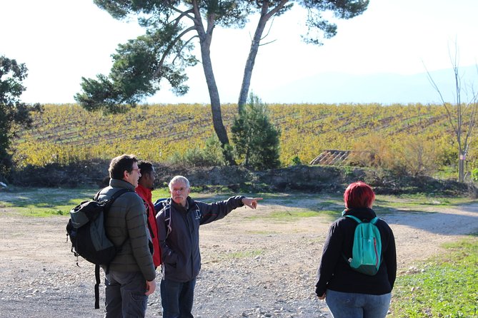 Walks in the Heart of the Secret Vineyards Around Collioure, Tastings - Tour Details and Ratings
