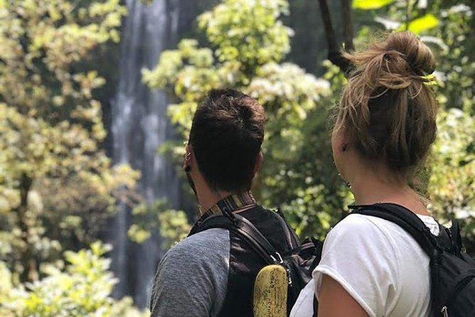 Waterfall & Coffee Walking Tour - Itinerary Highlights