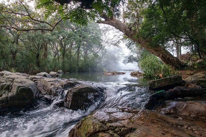 Waterfall Trekking in Knuckles Mountain Range - Trekking Experience Details