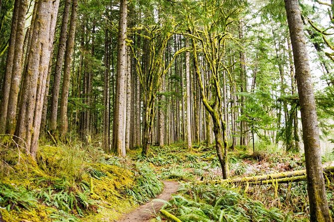 Waterfall Wonderland Hike With Transport - Itinerary and Schedule