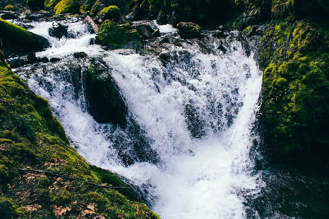 Waterfalls & Waterfront E-Bike Tour on Car-Free Bike Path - Meeting Point and Logistics