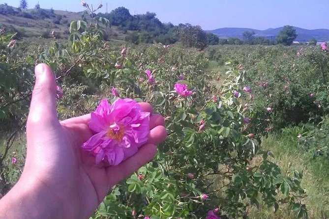 Weekend in Bulgaria Review: A Memorable Experience - Inclusions and Accommodations