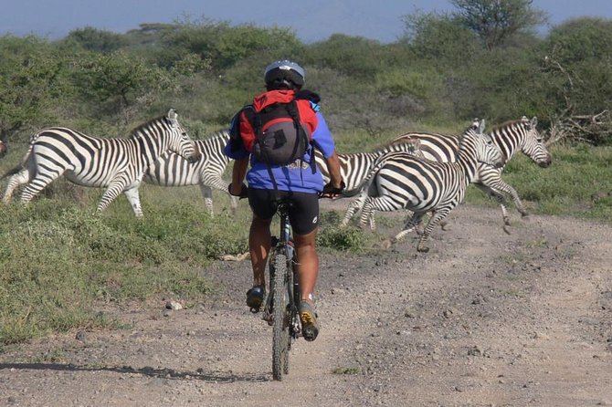 West Kilimanjaro Cycling Adventures - Wildlife Spotting Opportunities