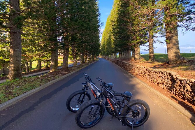 West Maui Electric Bike Rentals - Health and Safety Guidelines