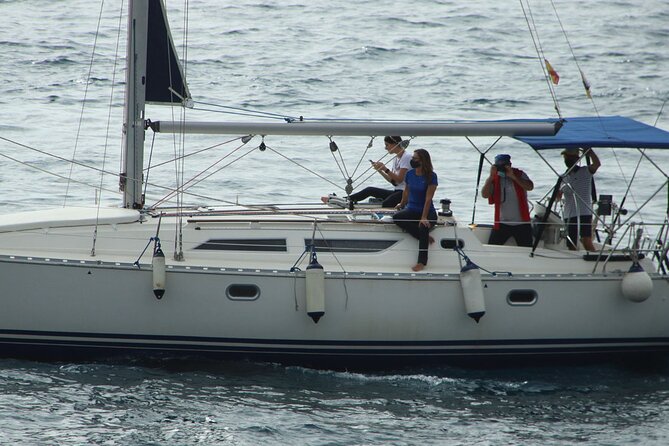 Whale & Dolphin Watching Boat Trip in Tenerife On a Sailing Boat (3 Hr) - Meeting and Pickup Details