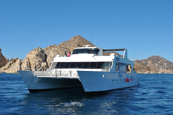 Whale Watching Cruise in Los Cabos - Accessibility and Participation