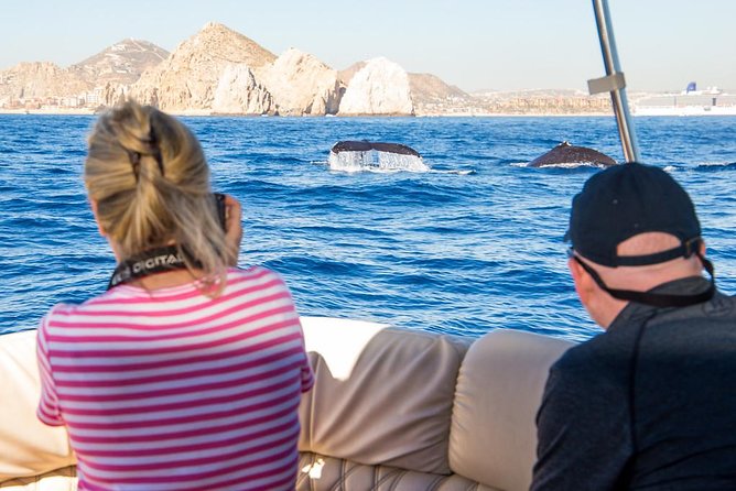 Whale Watching in Cabo San Lucas on Board Our Luxury Trimaran! - Meeting and Pickup Information
