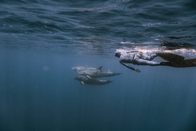 Whale Watching in Sao Tome & Principe - Inclusions of the Experience