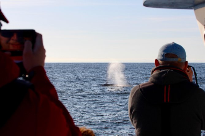 Whale Watching & Sightseeing Tour in Ucluelet, Vancouver Island - Tour Features