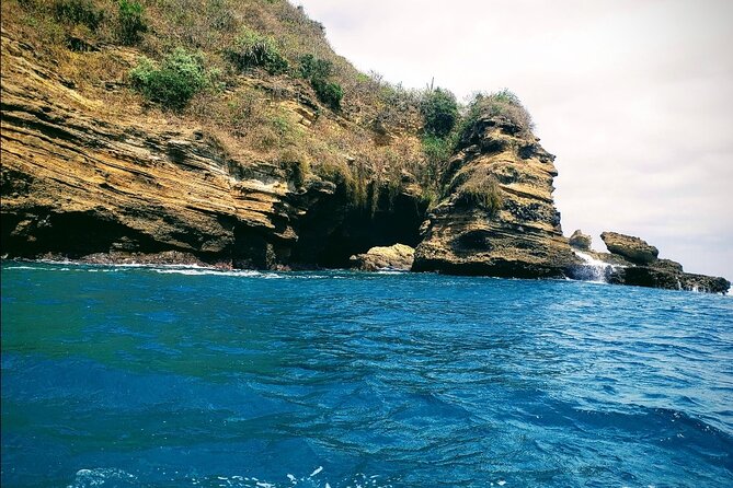 Whale Watching Tour and Visit to Isla De La Plata - Meeting and Pickup
