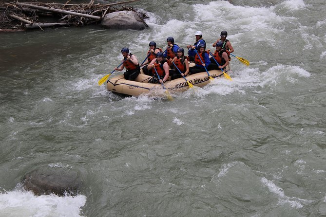Whitewater Rafting on Toby Creek - Experience Class III Rapids