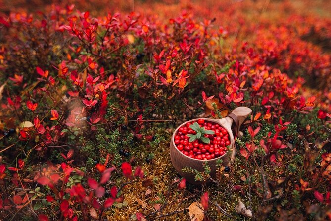 Wild Food & Foraging Hike With Open Fire Lunch - Preparing the Open-Fire Lunch