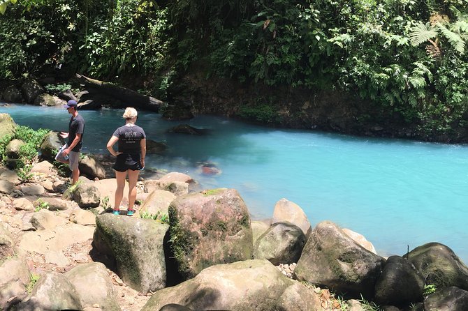 Wild Life And Horseback Riding Through The Rain Forest - Horseback Riding Adventure