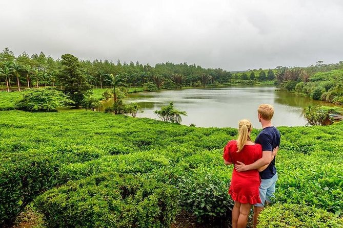 Wild South: Full-Day Tour Incl Rhumerie St Aubin, Bois Cheri Tea Factory & Lunch - Highlights and Inclusions