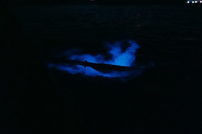 Wildlife Refuge Bioluminescent Kayak or Paddleboard Tour! - What to Expect