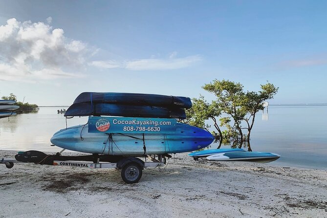 Wildlife Refuge Dolphin, Manatee & Mangrove Kayak or Paddleboarding Tour! - Meeting and Pickup