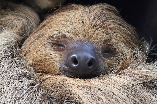 Wildlife Rescue Center. Private Tour - Guided by Knowledgeable Naturalist