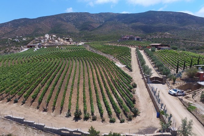 Wine Route Including Tastings - Meeting and Pickup Information