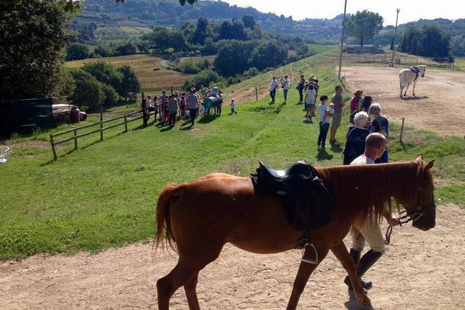 Wine Tasting and Horseback Riding in Montepulciano, in Tuscany From Rome - Transportation and Pickup
