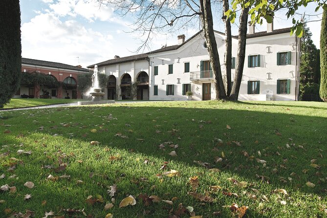 Wine Tasting Asolo Prosecco at Tenuta Baron - Guided Tour of the Cellar