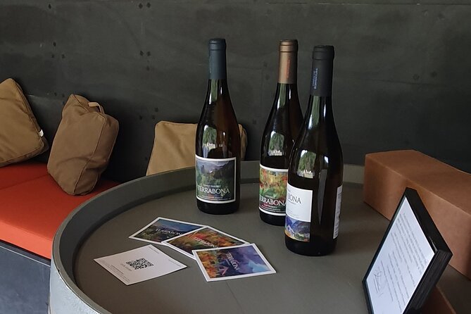 Wine Tasting Experience in Boaventura, Madeira North Coast - Additional Information