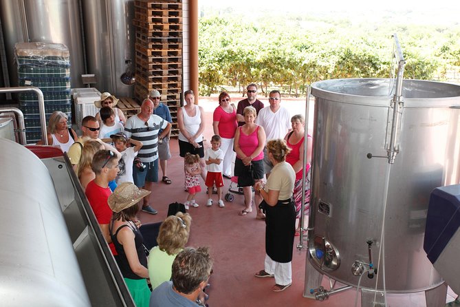 WINE WORLD EXPERIENCE From Albufeira - Discovering Local Wine Varietals