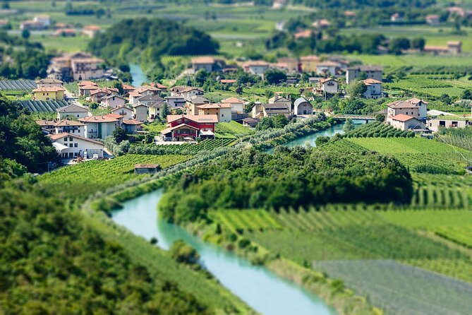 Winery Tour and Organic Wine Tasting in Trentino - Sum Up