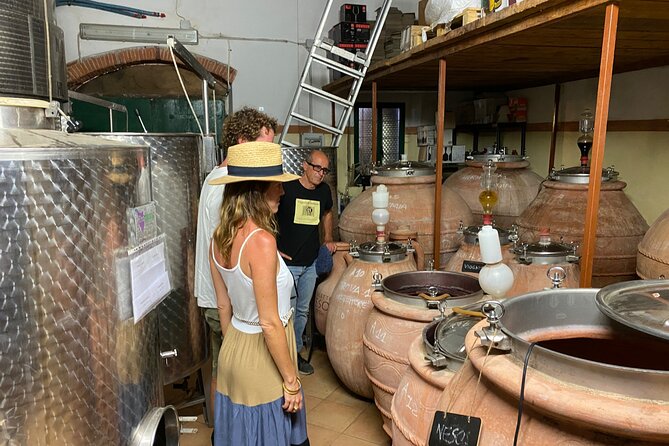 Winery Tour and Tasting With the Winemaker in Elba Island - Exploring Elba Islands Wine History