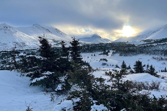 Winter Snowshoeing Adventure - Meeting Point and Transportation