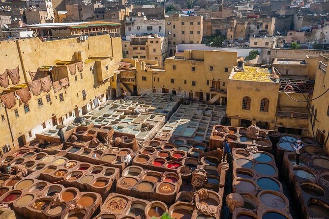 Wonderful Day Tour in Fes: A Historical and Cultural Guided Trip - What to Expect