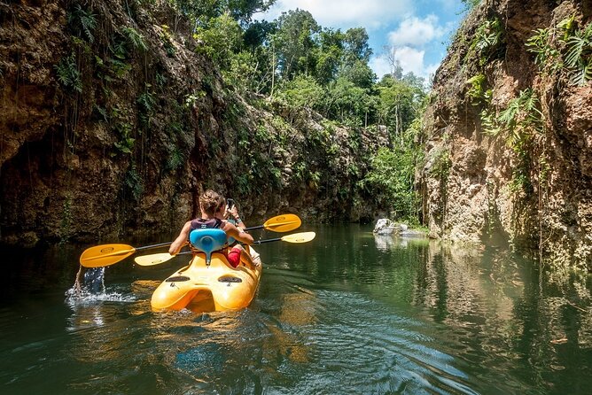 Xenotes - Included Activities