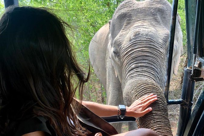 Yala Half Day Safari - Included Services and Amenities