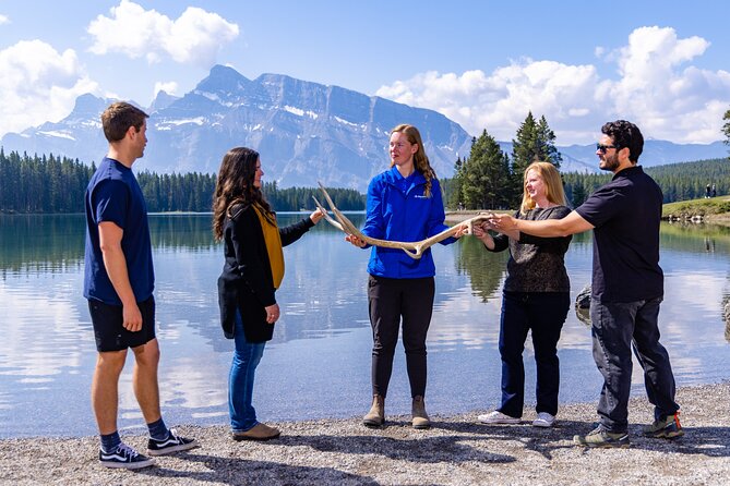 Year Round Tour: Banff and Its Wildlife - Itinerary Highlights