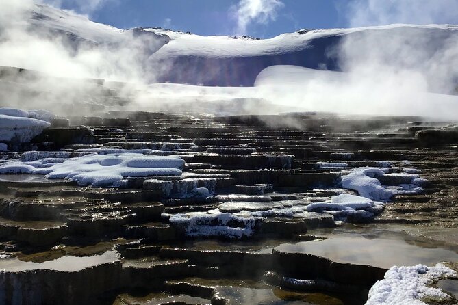Yellowstone Full Day Winter Tour (With Optional Hike or Snowshoe) - Wildlife Viewing Opportunities