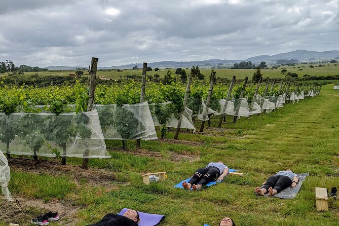 Yoga in Vineyards and Brunch - Sensory Meditation Immersion