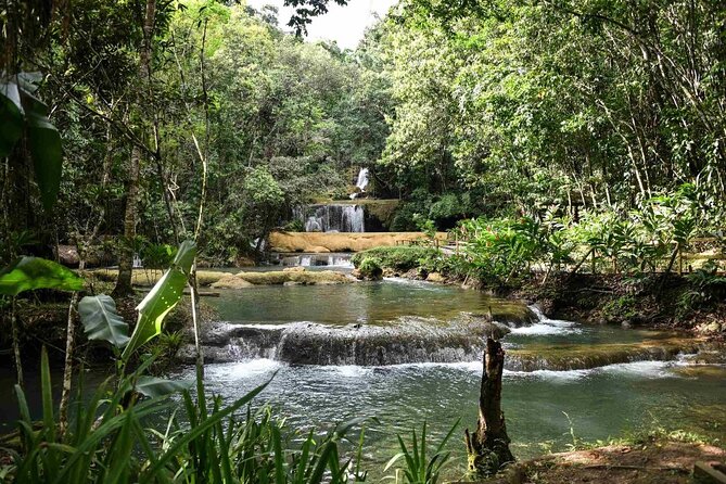 YS Falls and Pelican Bar Combo Full-Day Private Tour South Coast - Health and Safety Requirements