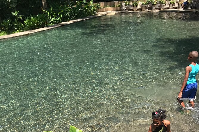 Ys Falls From Ocho Rios - Private Group Tour